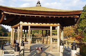 お誕生日旅行　奈良公園、興福寺♪