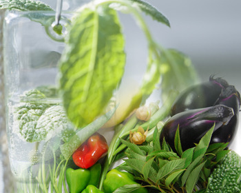 お野菜10~20%OFF