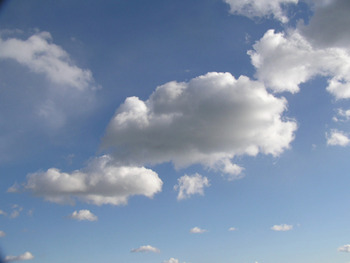 天然の空気洗浄