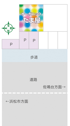 12/4 日曜日 AM10時オープン