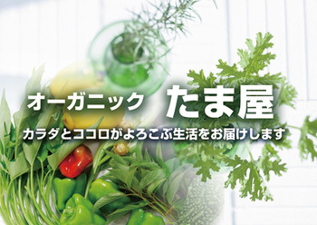 12/4 日曜日 AM10時オープン