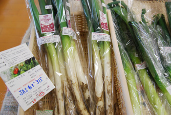 野菜は芸術作品 ー自然栽培、有機栽培の野菜ー