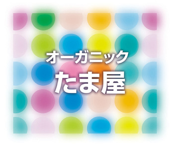 12/4 日曜日 AM10時オープン