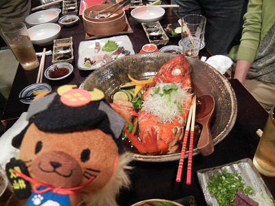 ひし丸くん歓迎会