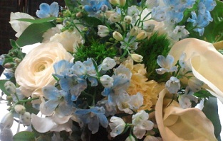 Birthday Flower Gifts-Mar.