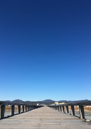 蓬莱橋 ~897.4m~ 蓬莱橋 ~897.4m~