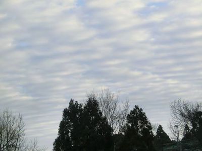 宮城から京都までの間で少し大きめ発生か? 宮城から京都までの間で少し大きめ発生か?