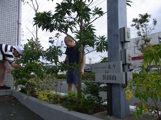 日常 日常