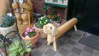 いきなり人気者。 2015/06/30 23:17:31
