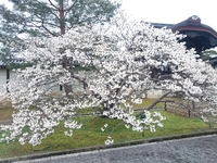 醍醐味。 2015/04/08 07:12:48