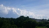虹♪ 2015/07/15 22:45:35