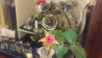 ありがとうございました。 2015/05/06 21:10:16