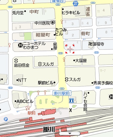 天金(掛川肴町)掛川飯ツウ団
