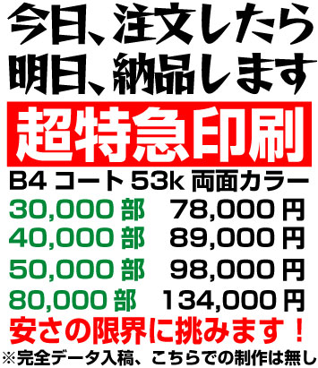 今日入れて明日届くチラシ!激安で提供します!