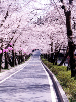 たばこや 家山