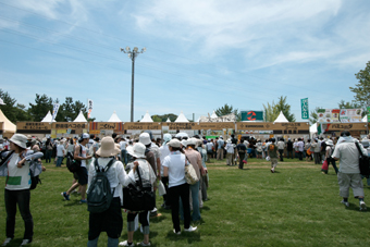 ap bank fes08 今年も開催!