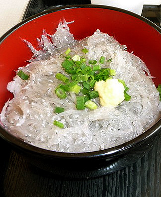 生しらす丼が食べたくないか!