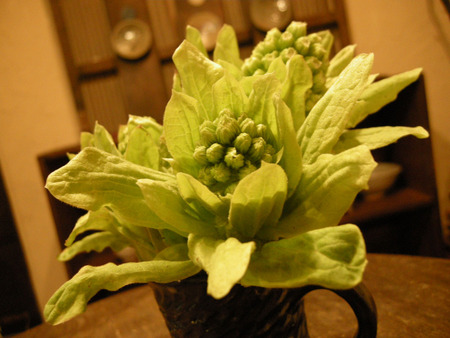 えだもの