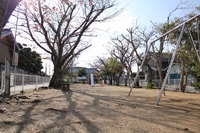 浅羽の公園