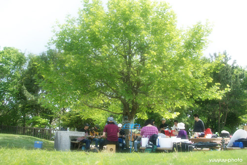 公園ライブ in 海浜公園♪