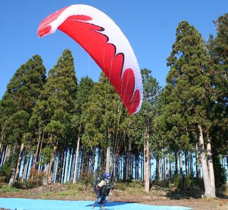 コペンの特注マルチシェード