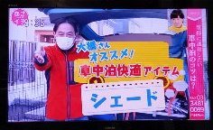 NHKの「あさイチ」にマルチシェードが登場！！