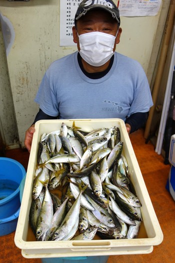 浜名湖 アジ釣りの釣果 L あけぼの釣具店 浜名湖 釣り情報 ルアー情報