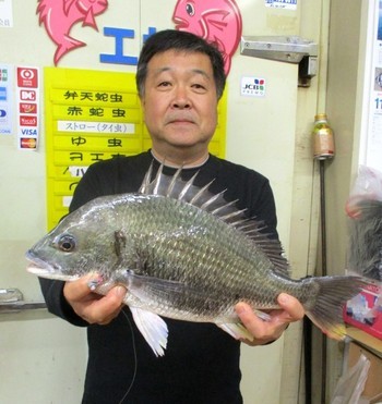 第29回　あけぼの釣具　年間　魚種別ダービー　キビレの部　　