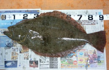 90オーバー　ヒラメ！！　93センチ