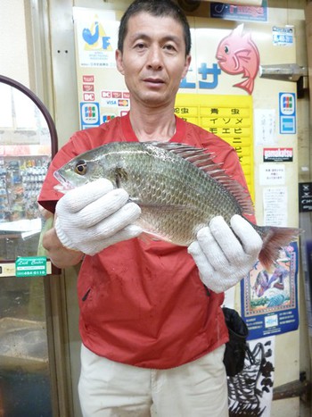 浜名湖　キビレの釣果