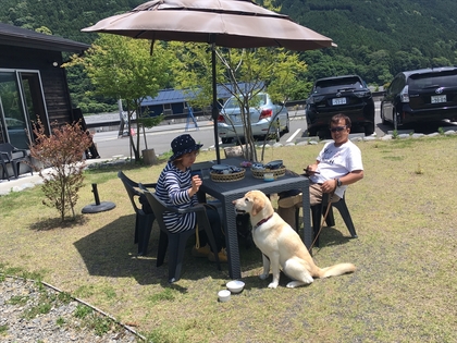 6月もワンとたちが遊びに来てくれてます(#^.^#)