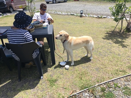 6月もワンとたちが遊びに来てくれてます(#^.^#)