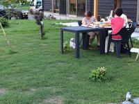 ワンちゃんと一緒に芝生でゴハン(*^-^*) 2015/07/15 09:11:32