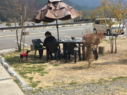 春よ来い！！