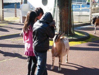 浜松市動物園