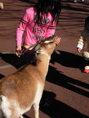 浜松市動物園