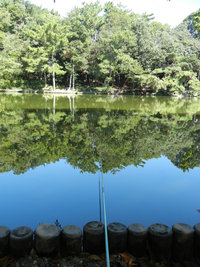四ツ池公園