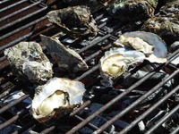 牡蠣BBQ～♪