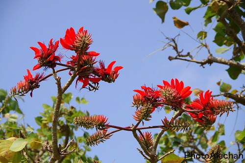 OKINAWA PHOTO