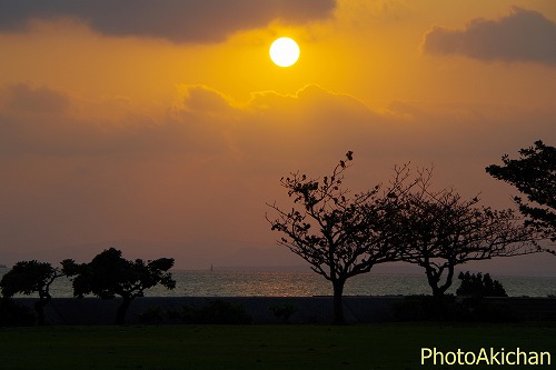 OKINAWA PHOTO