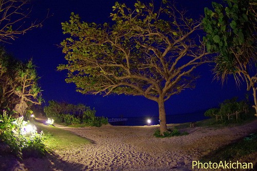 OKINAWA PHOTO