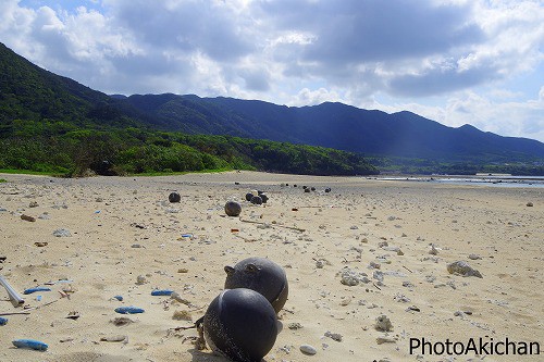 OKINAWA PHOTO