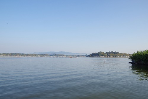 朝撮り