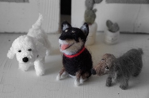 sayuri canvas