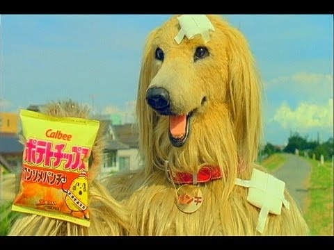 にてないでしょ
