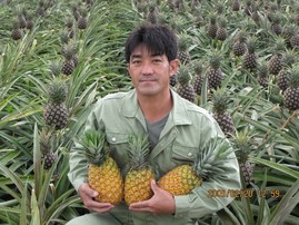 農林水産大臣賞てぃーだパイン
