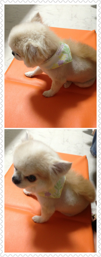 ぶぶ太郎君(o^^o) 2014/09/03 01:26:43