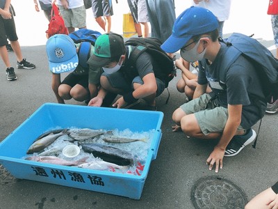 第３回自分よのなか塾（海で学ぶ理科・社会「魚の色と海の色の秘密」）