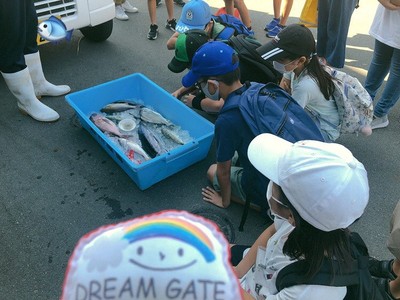 第３回自分よのなか塾（海で学ぶ理科・社会「魚の色と海の色の秘密」）