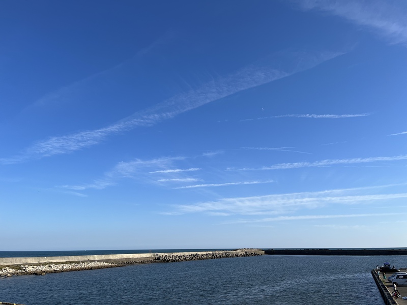 第3回目よのなか塾【渚の交流館で魚と海の不思議】:理科